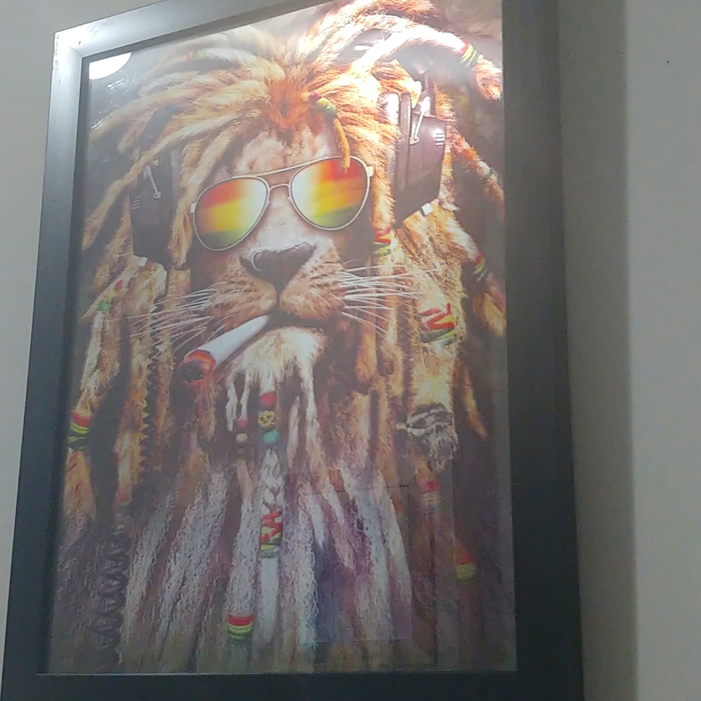 Framed 3D picture - Lion - Picture 3 of 5